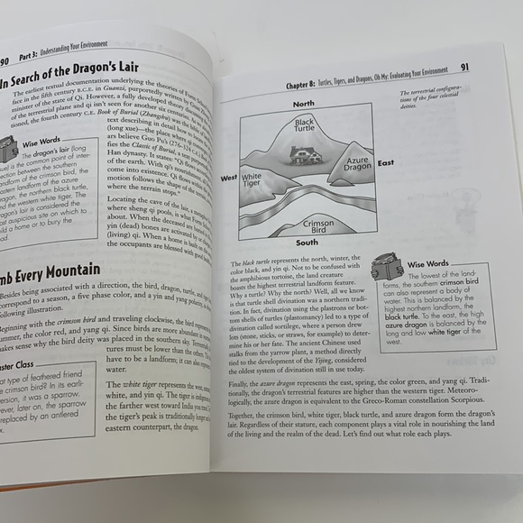 Book | The Complete Idiot’s Guide To FENG SHUI Second Edition Hints Guidance NEW - Picture 3 of 16